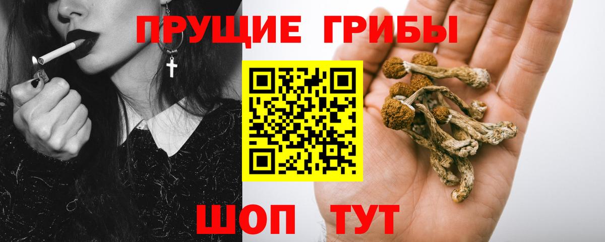 Заволжье  Галлюциногенные грибы мицелий  Псилоцибиновые грибы прущие грибы  Вход с VPN 